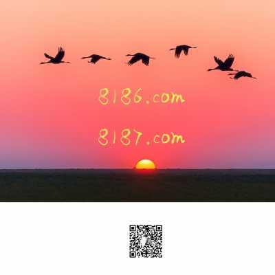 8186.com